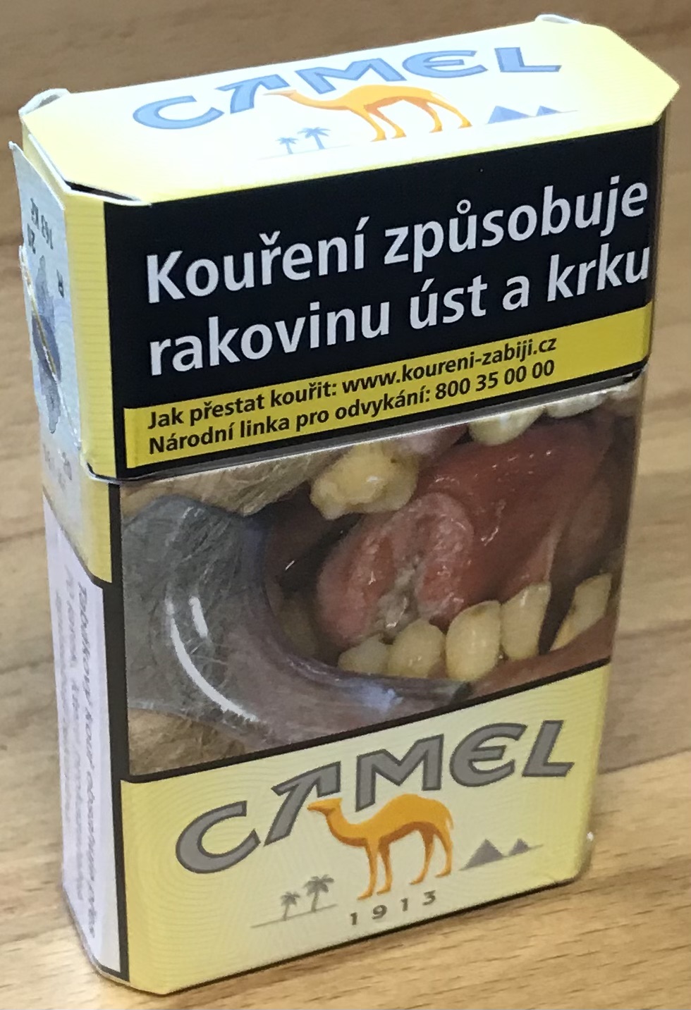 camel_orig_01